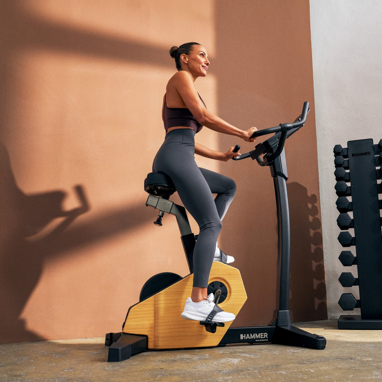 HAMMER MAXIMUM Spheris 4.0 Ergometer NorsK