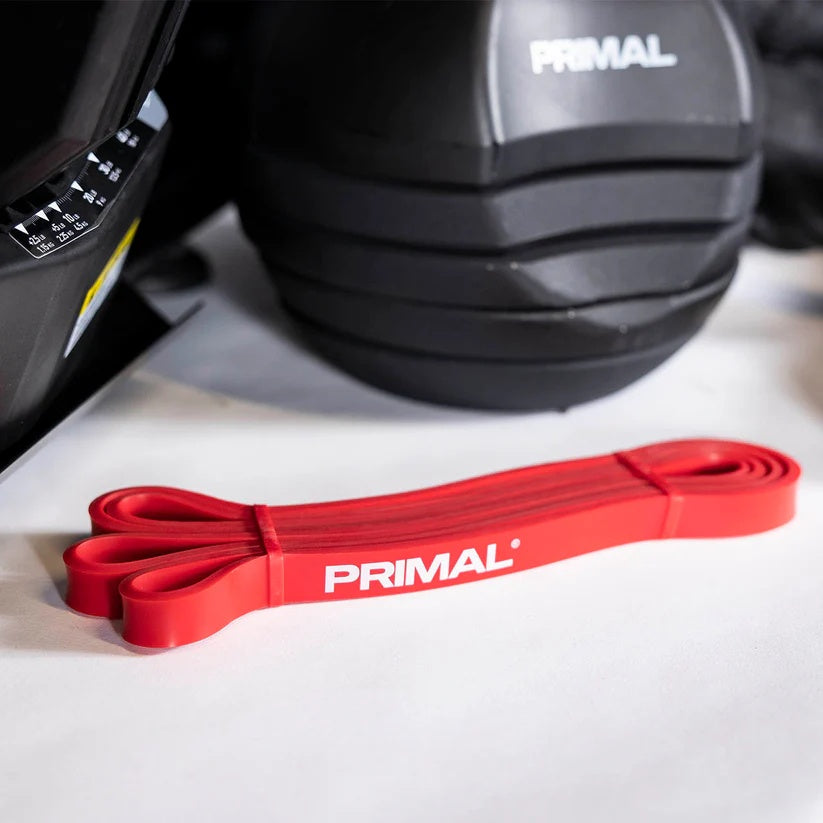 Primal Personal Series HIIT Bench inkl. Zubehör und Hanteln