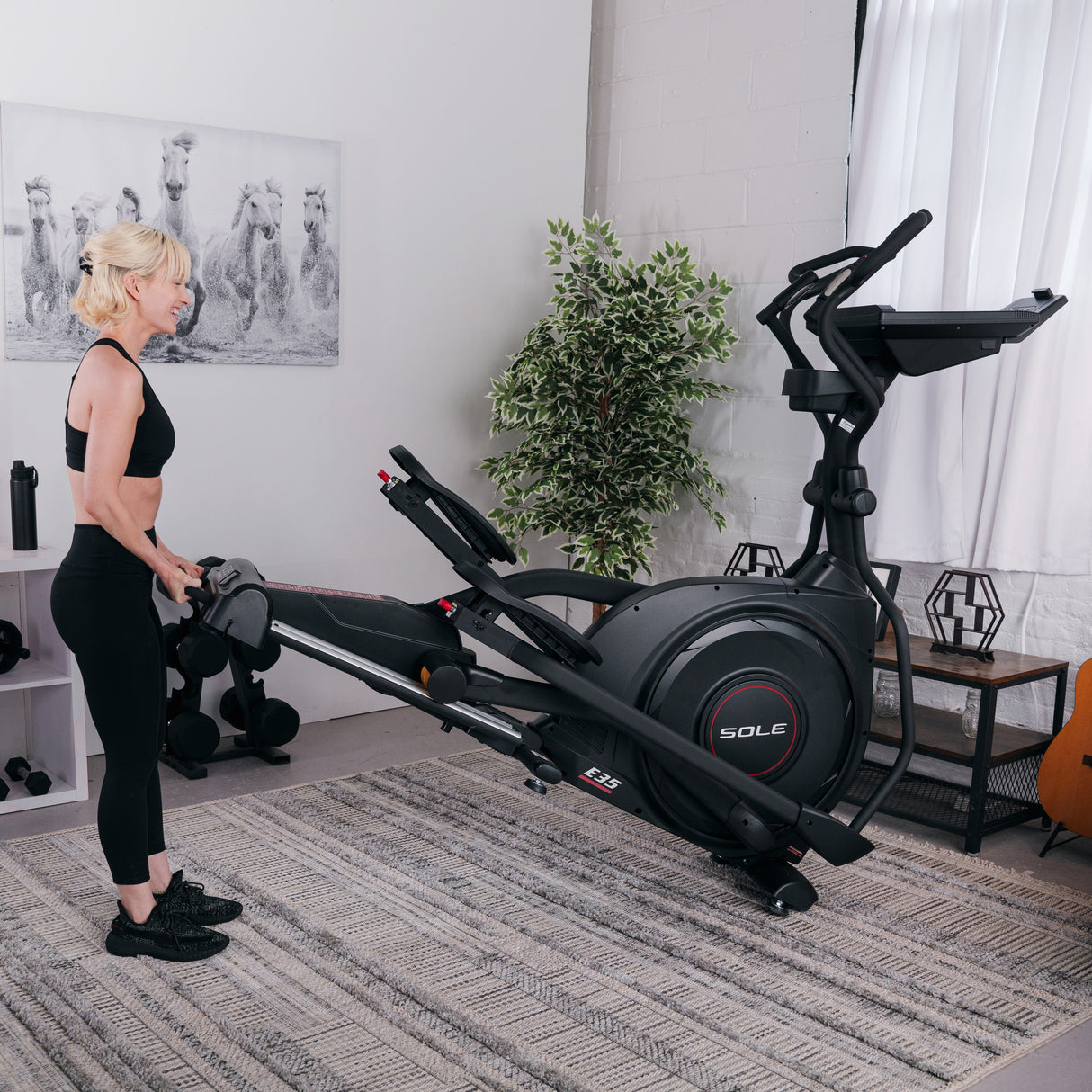 Sole Fitness Ellipsentrainer E35