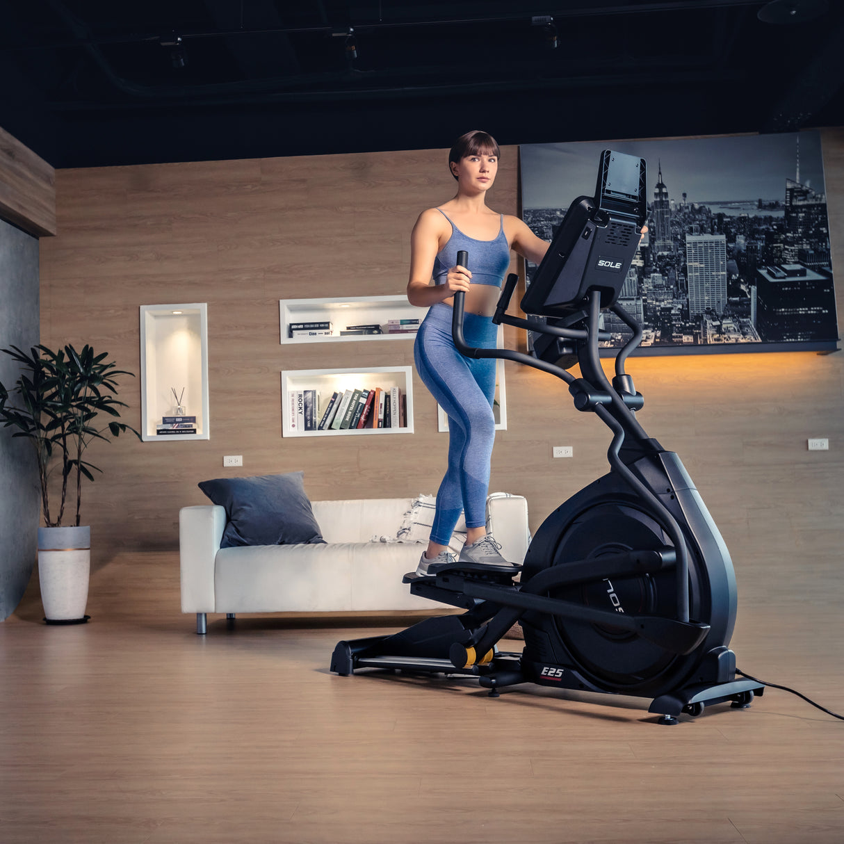 Sole Fitness Ellipsentrainer E25