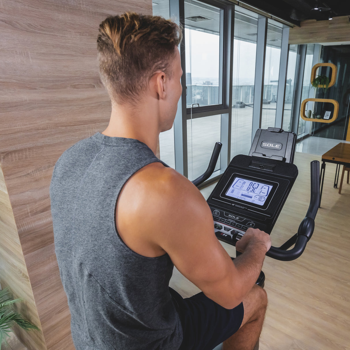 Sole Fitness Ergometer B94