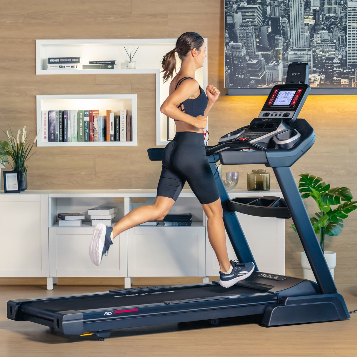 Sole Fitness Laufband F65