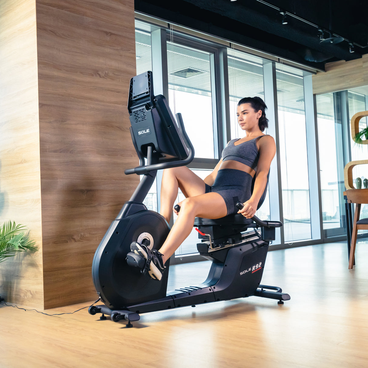 Sole Fitness Liegeergometer R92