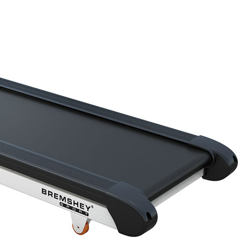 Bremshey Laufband RN2