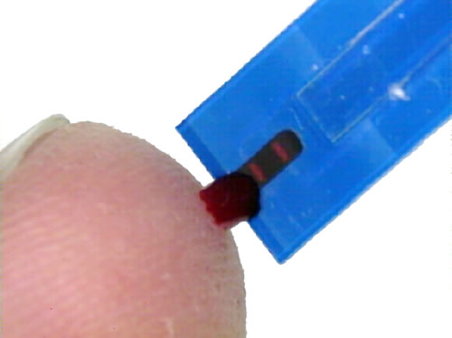 EKF Lactate Scout+ Solo