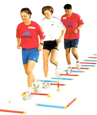 MFT Speedys Long Steps Laufleiter