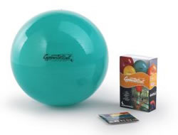 Original Pezzi Ball Standard 65cm Grün