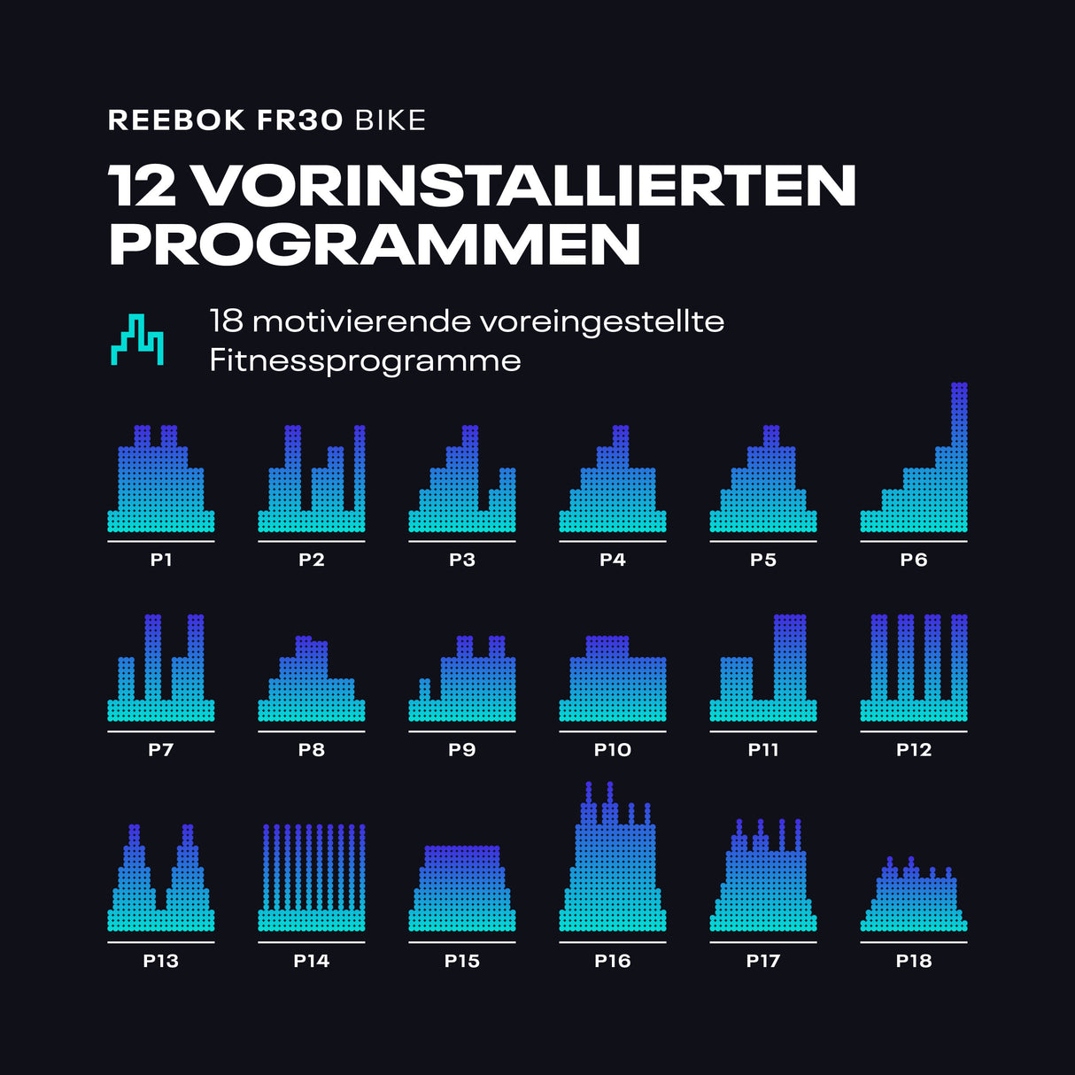 Reebok FR30 Ergometer
