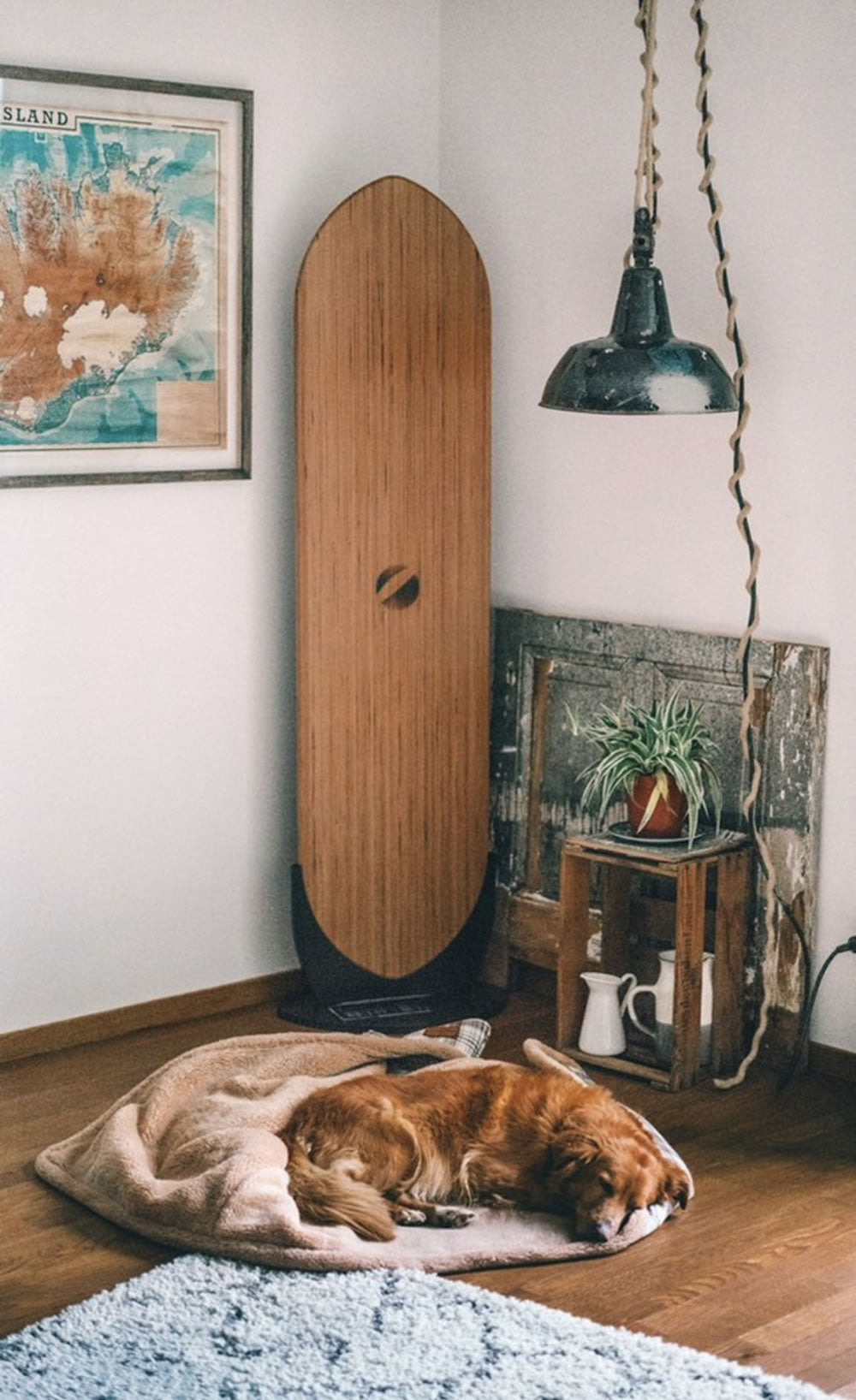 Strobel & Walter Solo-Standhalterung für Yogaboard