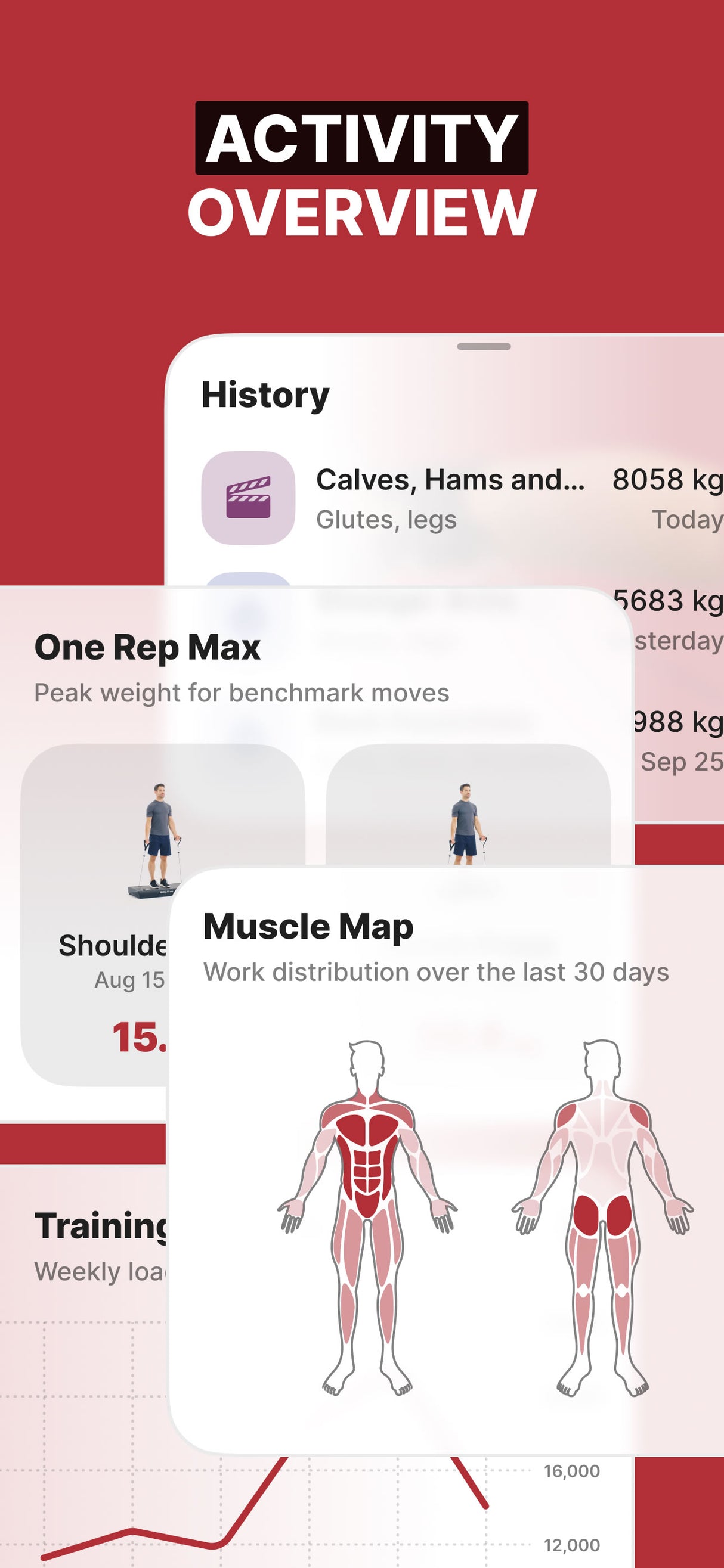 SOLE FITNESS SRVO Basic All-in-one-Trainer