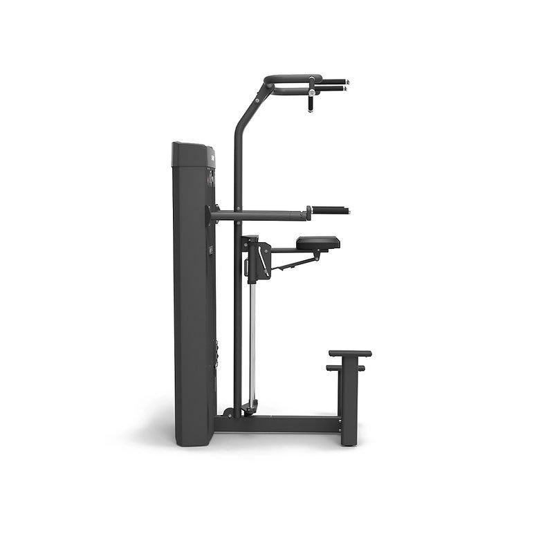 Spirit Fitness Commercial SP-4314 Klimmzug Dipstation