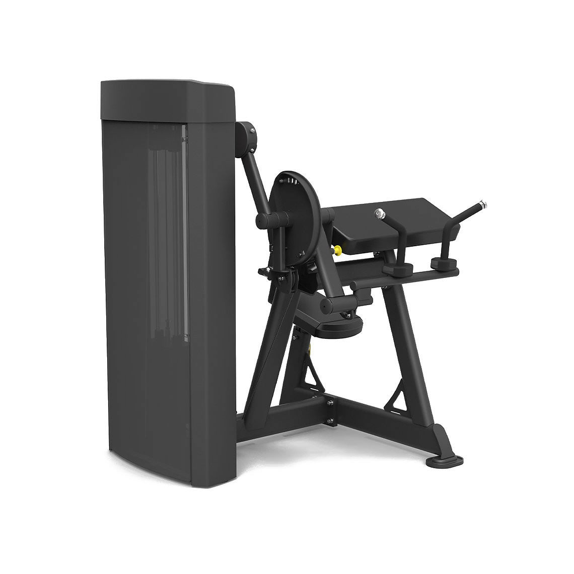 Spirit Fitness Commercial SP-4607 Dual Station Bizepsmaschine / Trizepsstrecker