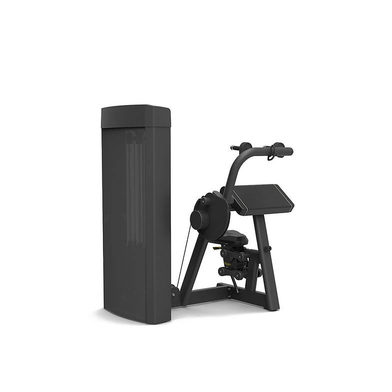 Spirit Fitness Commercial Trizepsstrecker SP-4308