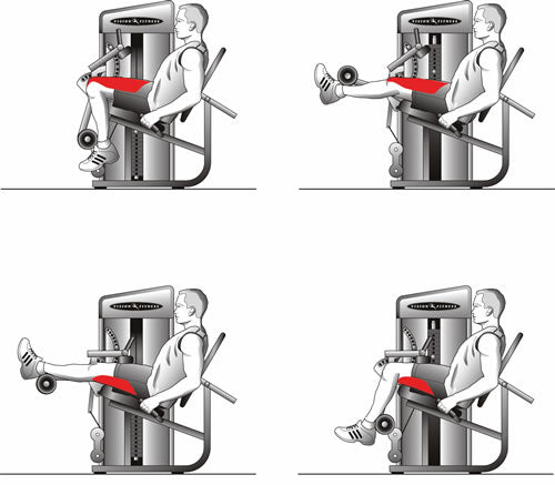 Vision Fitness ST750 Dual-Beinstrecker-Beuger