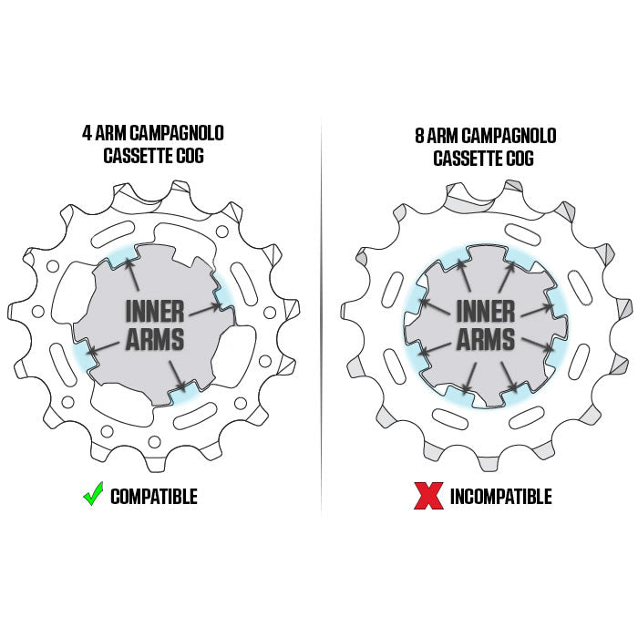 Wahoo Campagnolo Freilaufkörper für KICKR & CORE 2018