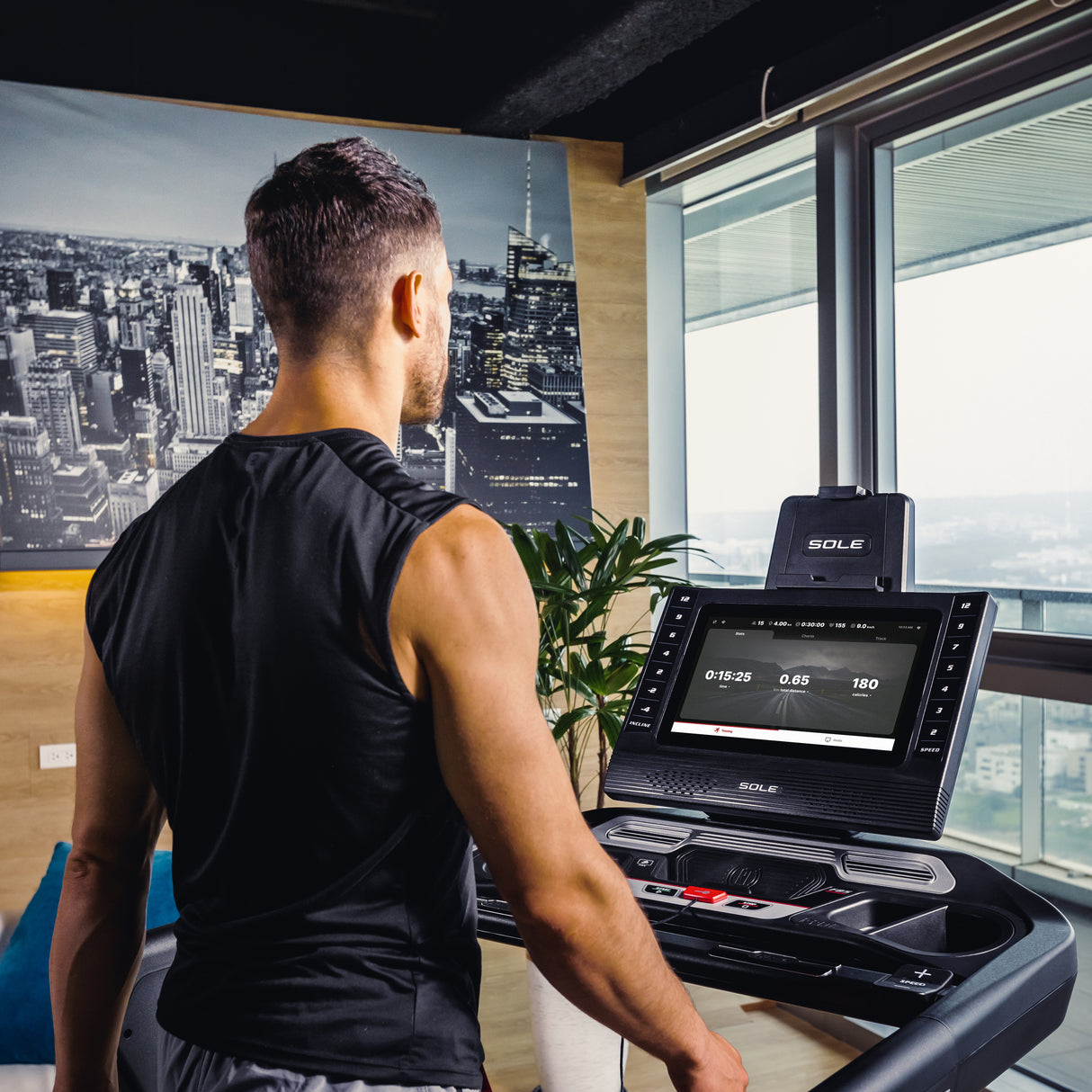 Sole Fitness Laufband F85