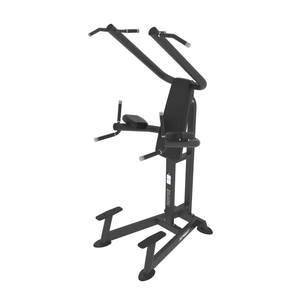 Spirit Fitness Chin-/Dip-/Leg-Raise-Station SP-4219