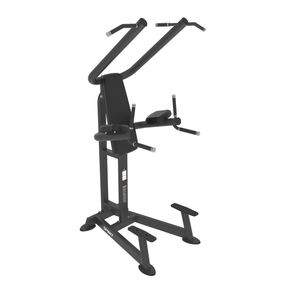 Spirit Fitness Chin-/Dip-/Leg-Raise-Station SP-4219