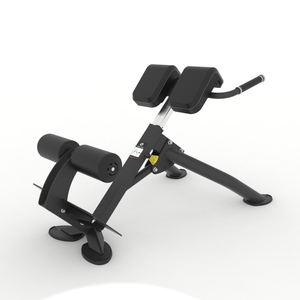 Spirit Fitness Back Extension Bench SP-4220