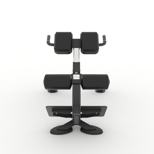 Spirit Fitness Back Extension Bench SP-4220