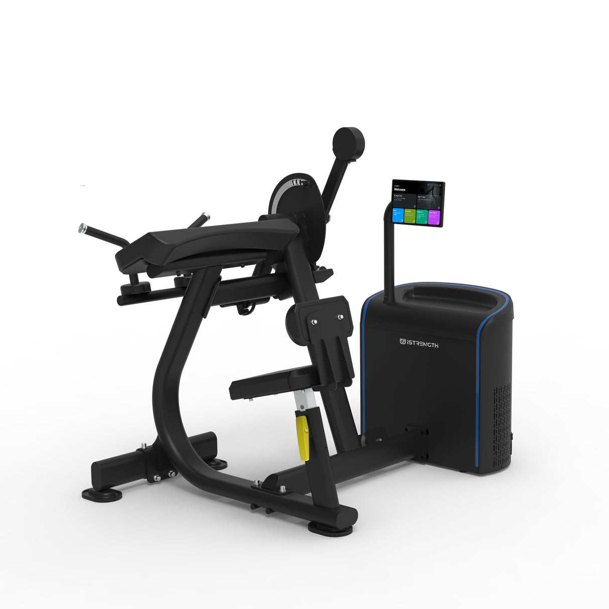 Spirit Fitness iStrength Biceps Curl / Triceps Extension