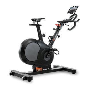 BH Fitness Xcalibur EMS Indoor Bike