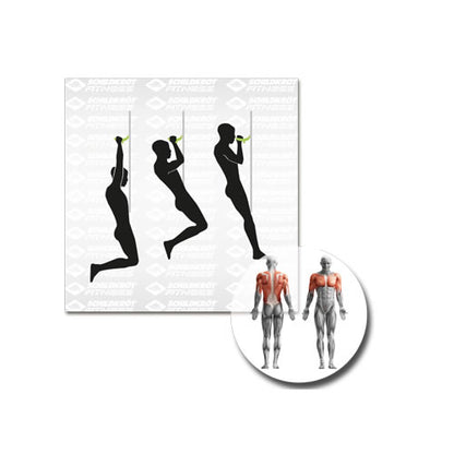 Schildkröt-Fitness Multifunktionales Türreck 4-in-1