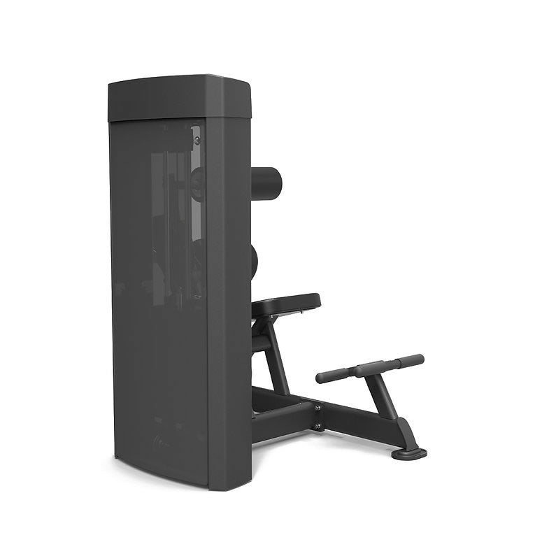 Spirit Fitness Commercial SP-4609 Dual Station Bauch- und Rückentrainer