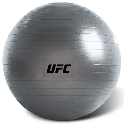 UFC FITBALL Gymnastikball 55cm Silber -- 55cm/ Silber
