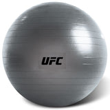 UFC FITBALL Gymnastikball