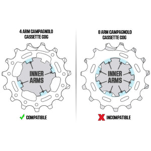 Wahoo Campagnolo Freilaufkörper für KICKR & CORE 2018